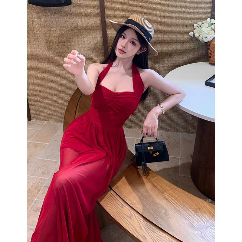 Sexy Mesh Halter Dress with Padded Bust Ruched Tie Backless Long Dress Pure Desire Summer